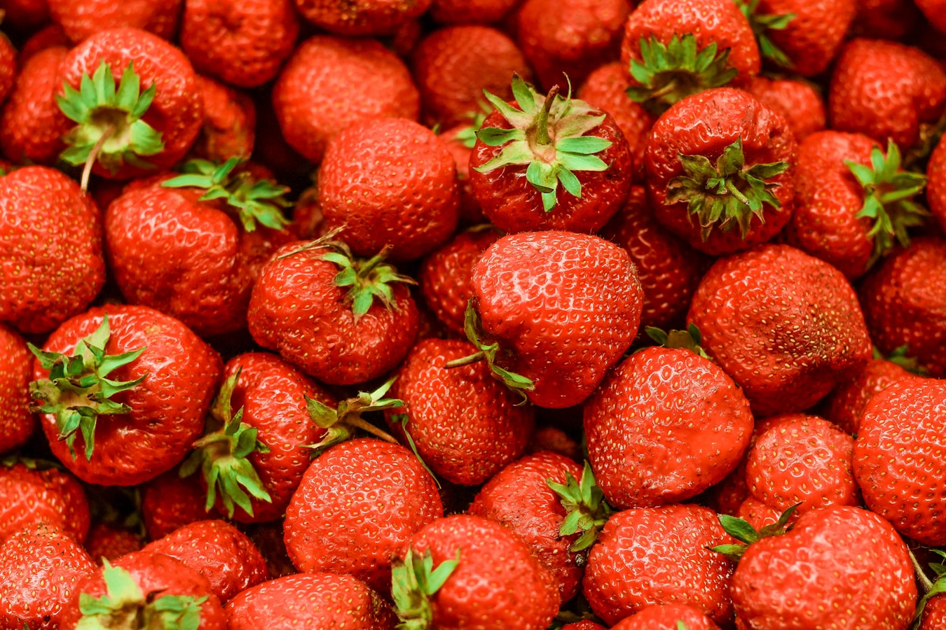 Berries